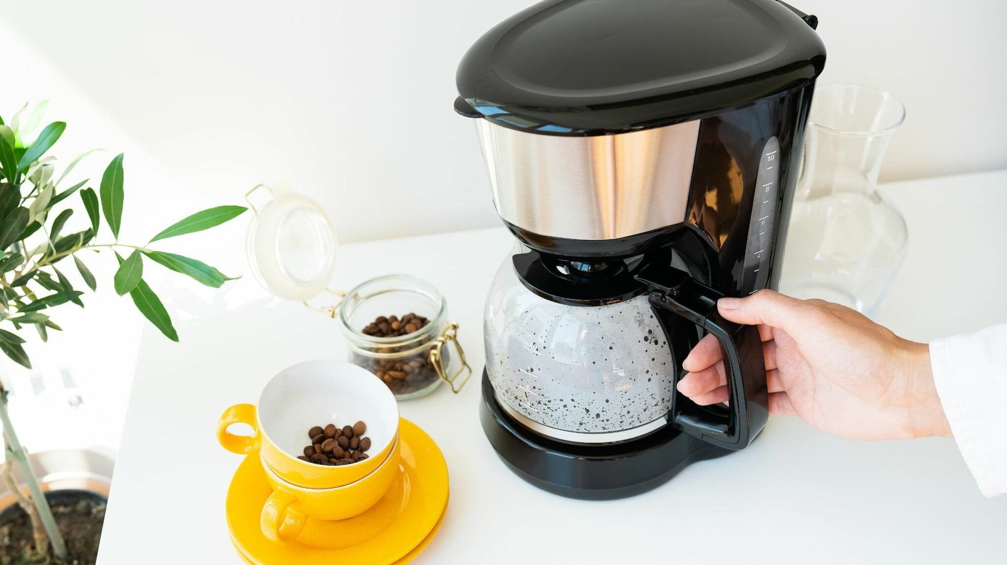How To Make Drip Coffee: A 5-Step Guide